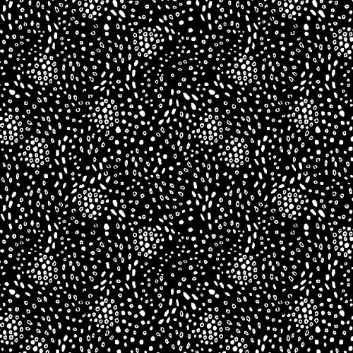 Night & Day Dot Clusters Black 66216-911 (Bolt 1)
