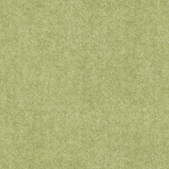 Winter Tweed Flannel Sage 9618F 41B