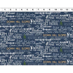 Winter Playground Words Blue Fabric (Y2767-89)