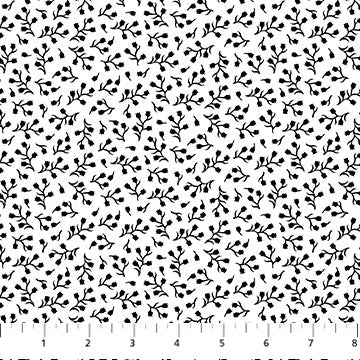 Basically Black & White 2 Positive 10219-11