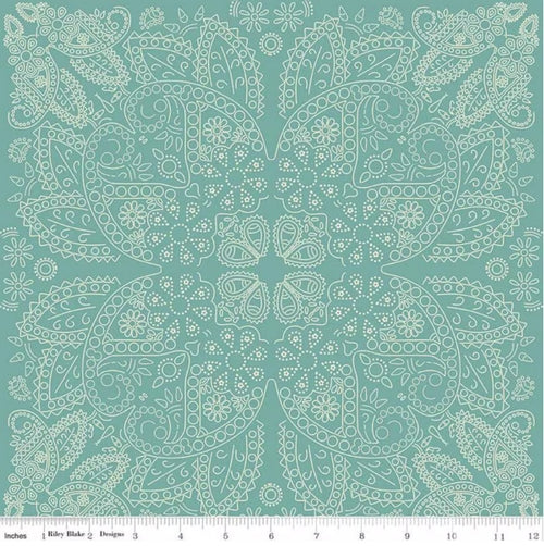 Cowboys C15493 Teal