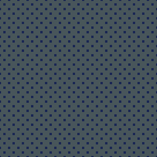 Snazzy Squares Charcoal/Navy 16207-13