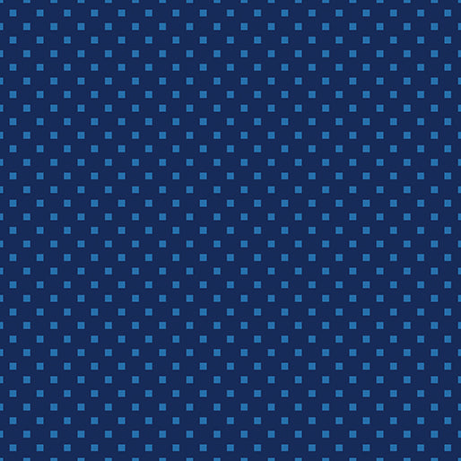 Snazzy Squares Navy/Blue 16207-55