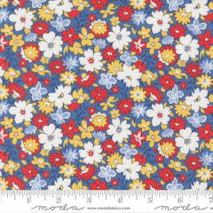 30s Playtime 2025 Bluebell 23370-18