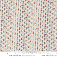 30s Playtime 2025 Primary 23376-11