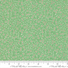 30s Playtime 2025 Aloe 23378-16