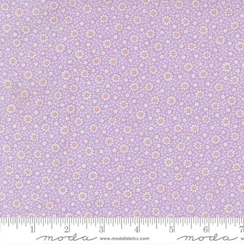 30s Playtime 2025 Lilac 23379-12