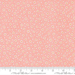 30s Playtime 2025 Petal 23379-13