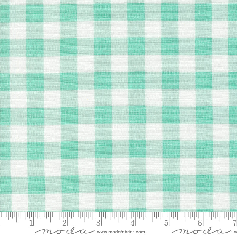 Coriander Colors Aqua Plaid 29201 17