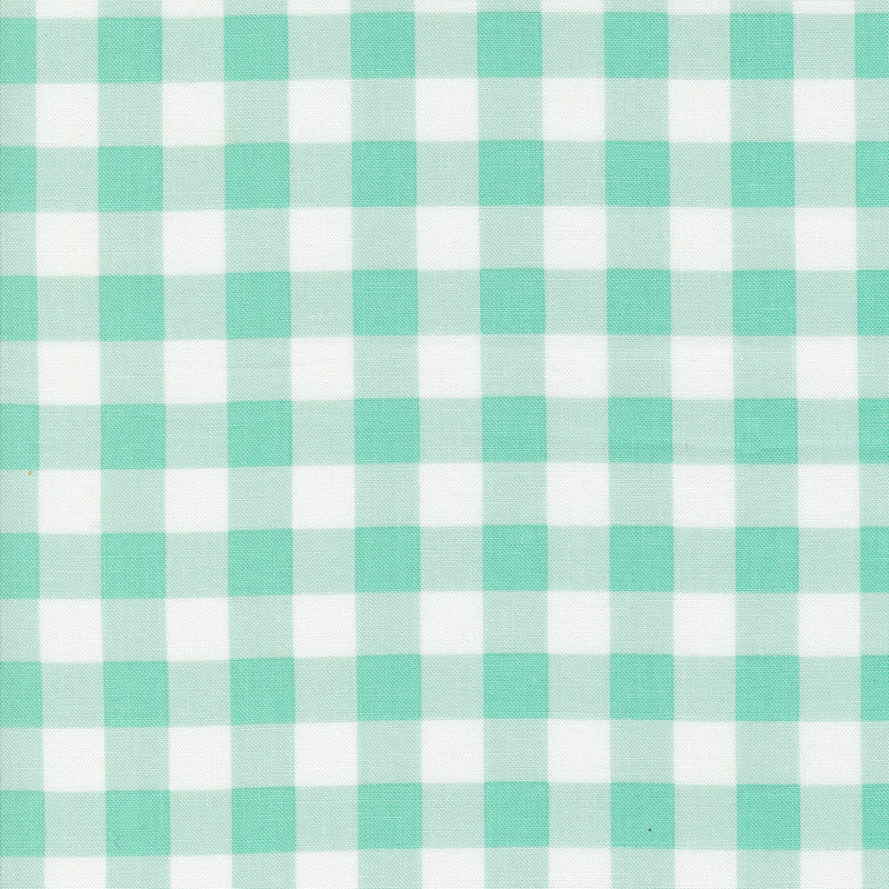 Coriander Colors Aqua Plaid 29201 17