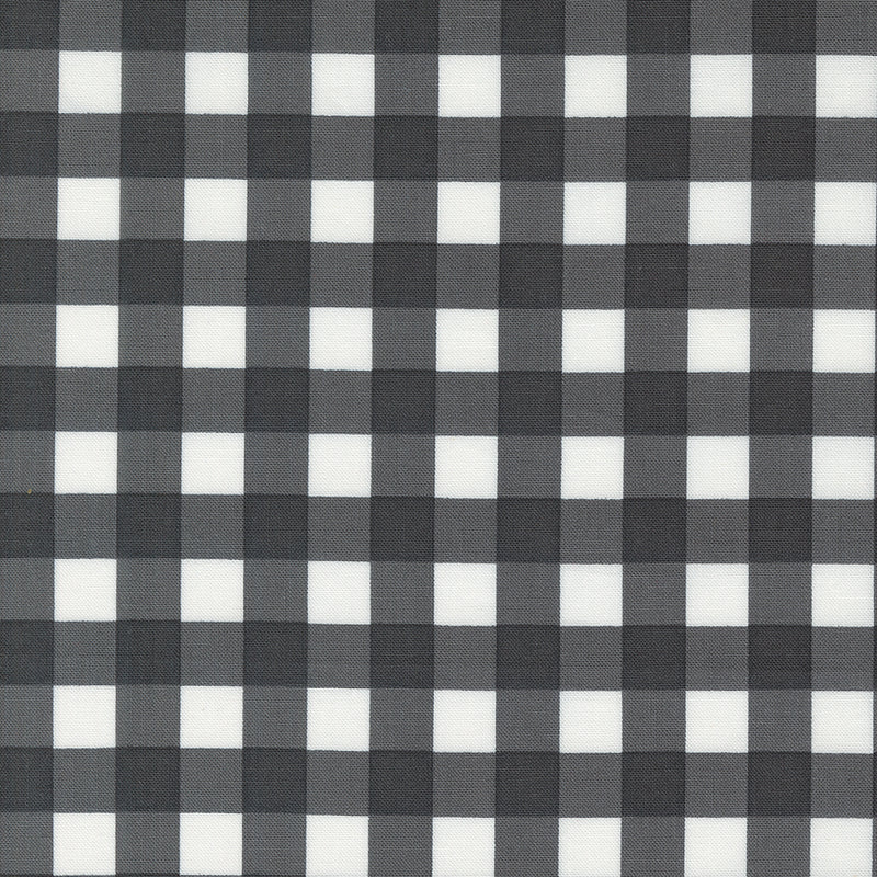 Coriander Colors Black Plaid 29201 21