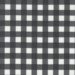 Coriander Colors Black Plaid 29201 21