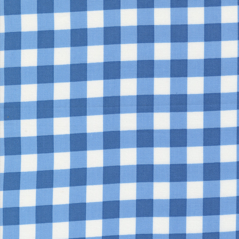 Coriander Colors Blue Plaid 29201 18