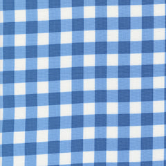 Coriander Colors Blue Plaid 29201 18