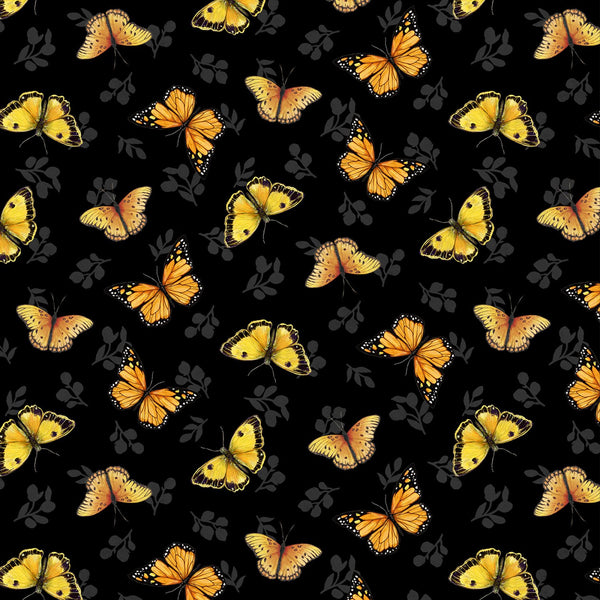 Sunflower ページ 71m8mZ-He-L._AC_UF894,