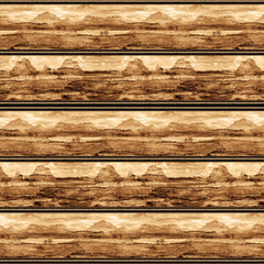 Cowboy Culture Scenic Border Stripe 3340-35 Lt. Brown