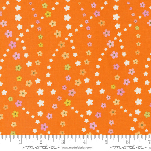Flower Power Lazy Daisy Stripes Floral Clementine 33716-14