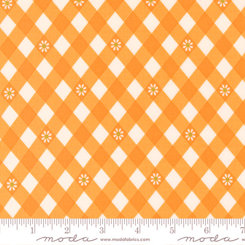 Flower Power Picnic Posies Gingham Clementine 33717-14