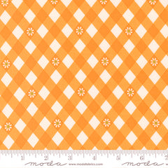 Flower Power Picnic Posies Gingham Clementine 33717-14