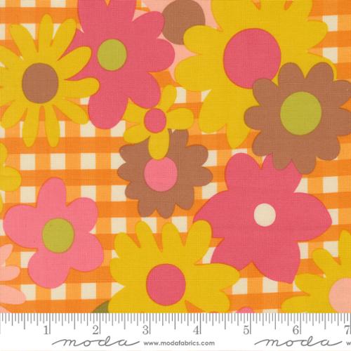 Happy Daze Sunrays 33840-14 | Quilt Expressions