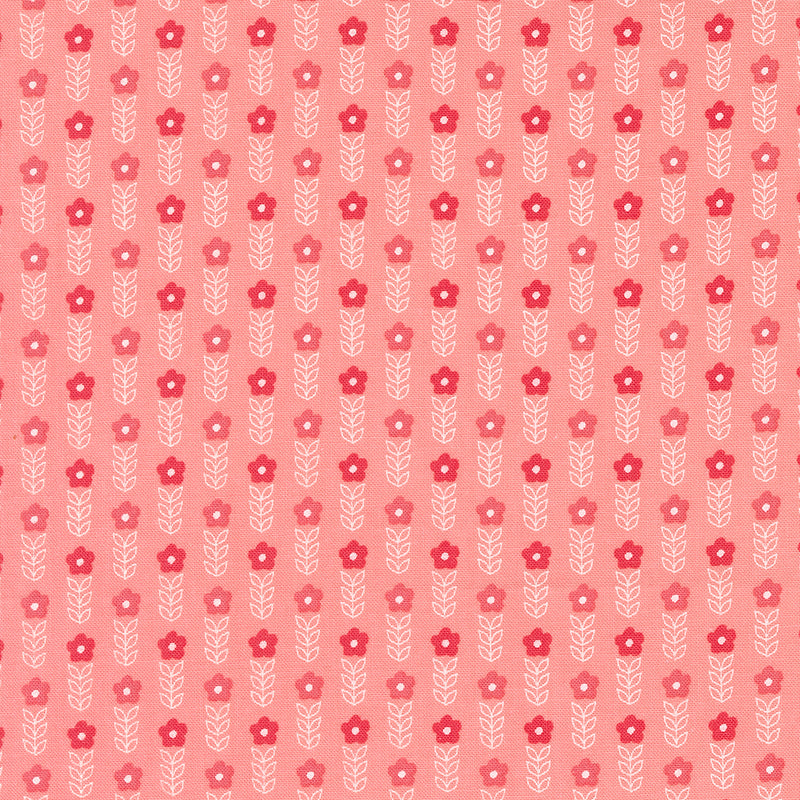 Strawberry Lemonade Blooms Stripe Carnation 37673 12
