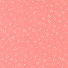 Strawberry Lemonade Daisy Dots Carnation 37677 12