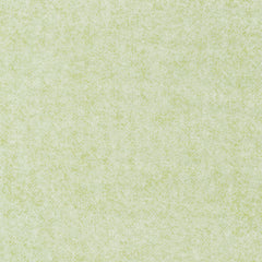 Winter Tweed Flannel Light Sage 9618F 04B