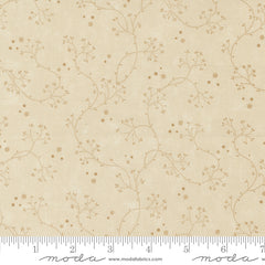 KT Favorites Backgrounds Dandelion 9775 11