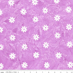 Expressions Batiks Daisy Dots Amethyst BT23405-171