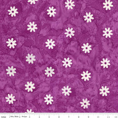 Expressions Batiks Daisy Dots Purple Haze BT23405-176
