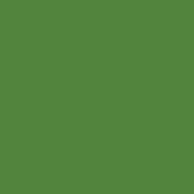 Confetti Cotton Solid C120-Holly