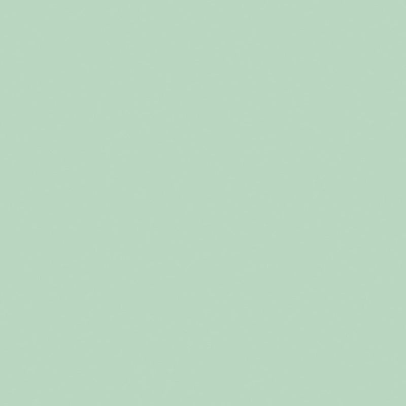 Confetti Cotton Solid C120-Sage