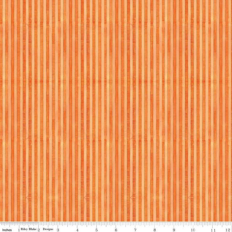 Ghoul Friends Stripes Orange C16056-Orange