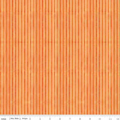 Ghoul Friends Stripes Orange C16056-Orange