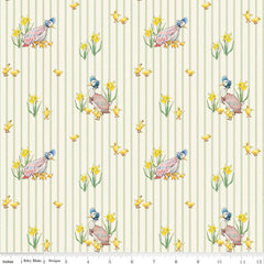 Peter Rabbit & Friends Duck Stripe C15862-Cloud