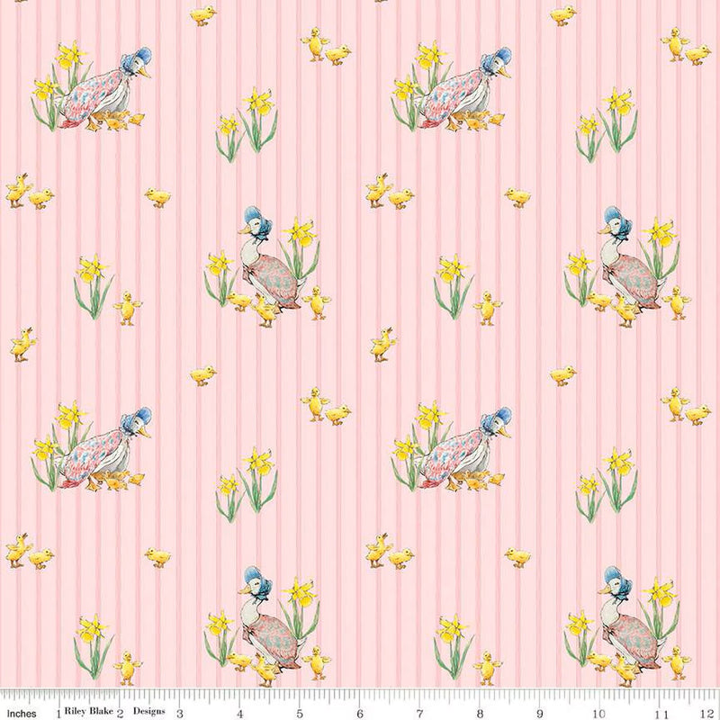 Peter Rabbit & Friends Duck Stripe C15862-Pink