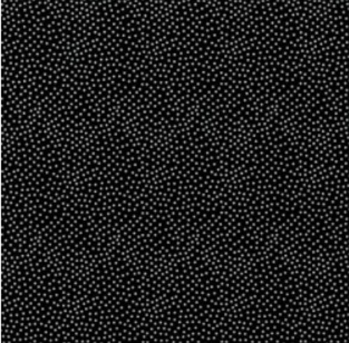 Garden Pindot Black CX1065-BLAC