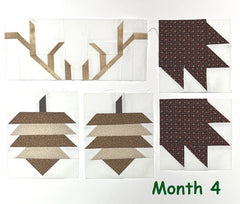 Enchanted Forrest Block of the Month Kit