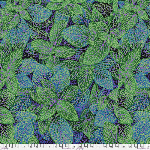 Fittonia Green PWPJ129.Green