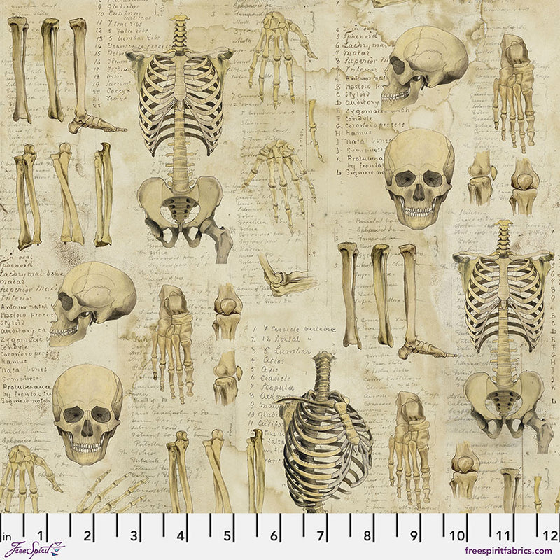 Laboratory Anatomy Neutral PWTH181.NEUTRAL