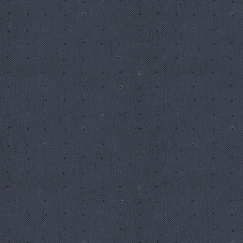 Seedling Seeds Blueberry SDL-20107