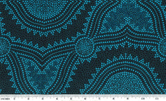 Aboriginals Seeds & Bush Spinifex Sky