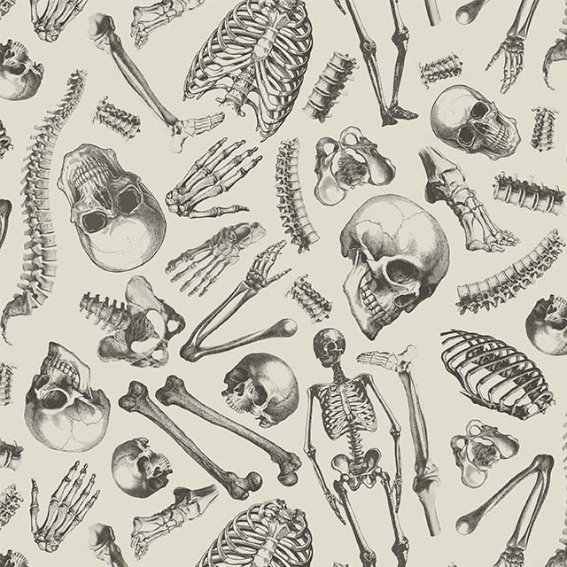 Boo-tiful Mr. Bone DCX12277-Cream