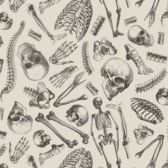 Boo-tiful Mr. Bone DCX12277-Cream