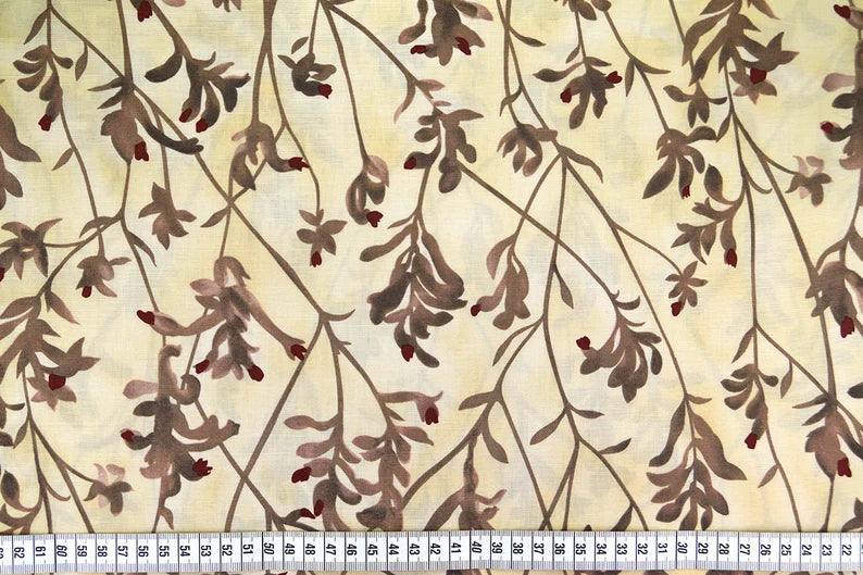 Aboriginals Kangaroo Paw Natural