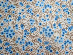 Aboriginals Wax Flower Blue