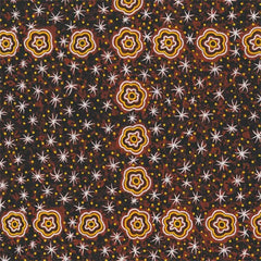 Aboriginals Women Watching Stars At Night Brown