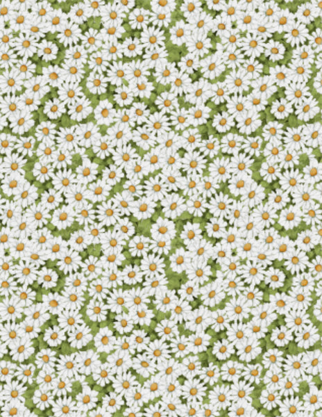 Flowers of the Sun Quilt Fabric - Large Sunflowers in Green - 1419-792 –  Cary Quilting Company