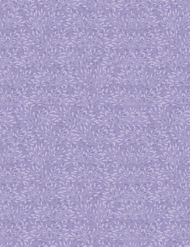 Whimsy Purple