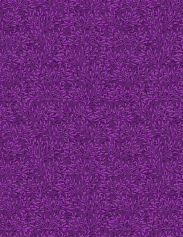 Whimsy Dark Purple